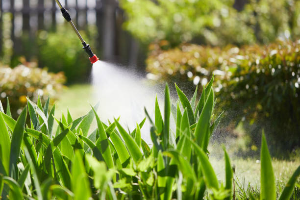 24/7 Emergency Mosquito Control experts in Aurora, NE