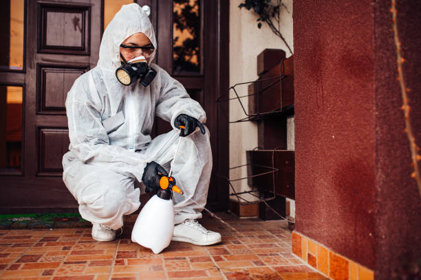Reliable Mosquito Control contractor in Aurora, NE by Show Me Pest Control